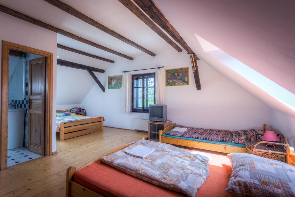 Penzion U Dracice Hotel Nova Bystrice Exterior photo